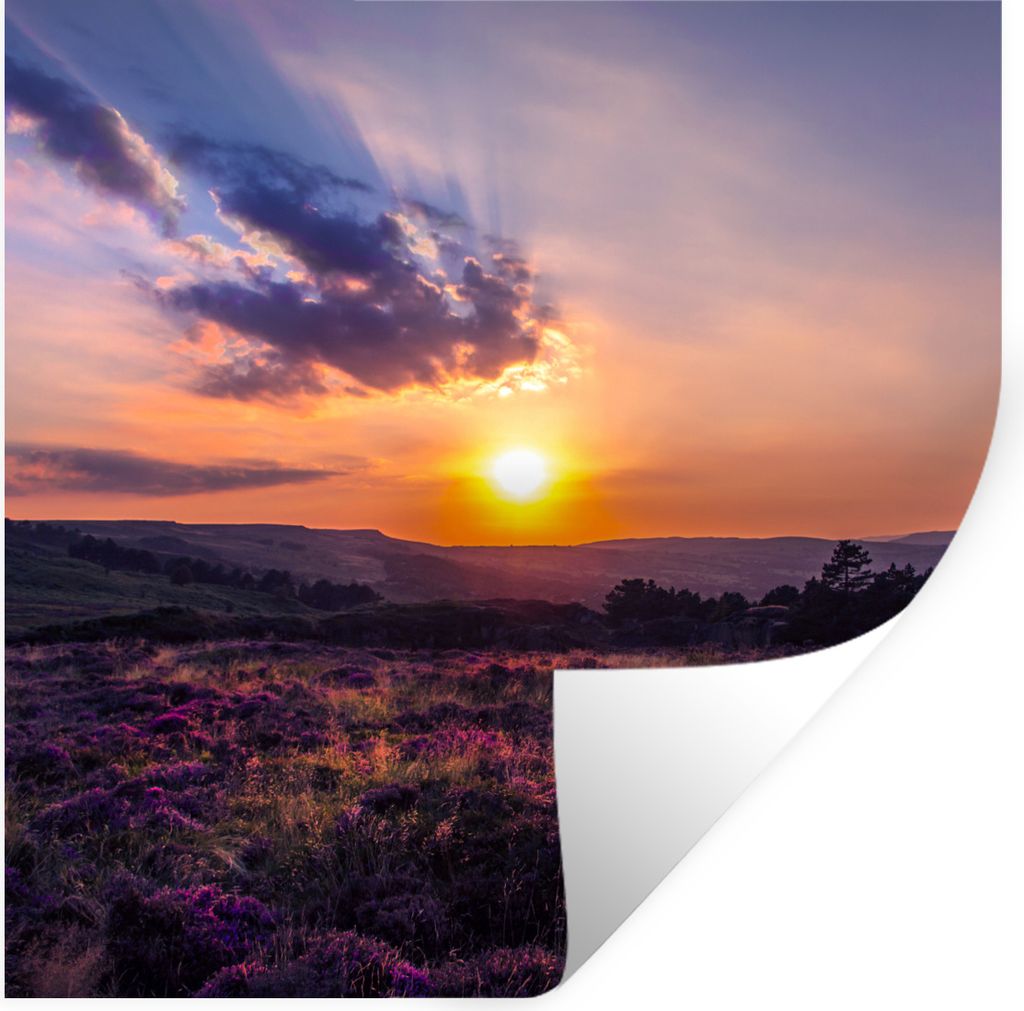 MuchoWow Wandtattoo Wandsticker Wandaufkleber Sonnenuntergang in der Heidelandschaft 80x80 cm Selbstklebend und Repositionierbar - Wierderverwend...