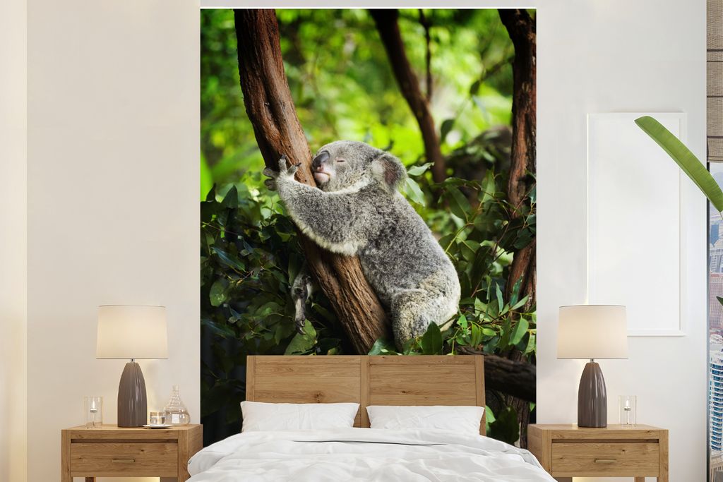 MuchoWow Fototapete für Wohnzimmer oder Schlafzimmer Wandtapete Vinyl Motivtapete Koala - Schlafend - Baum - 200x300 cm - Wanddekorationen