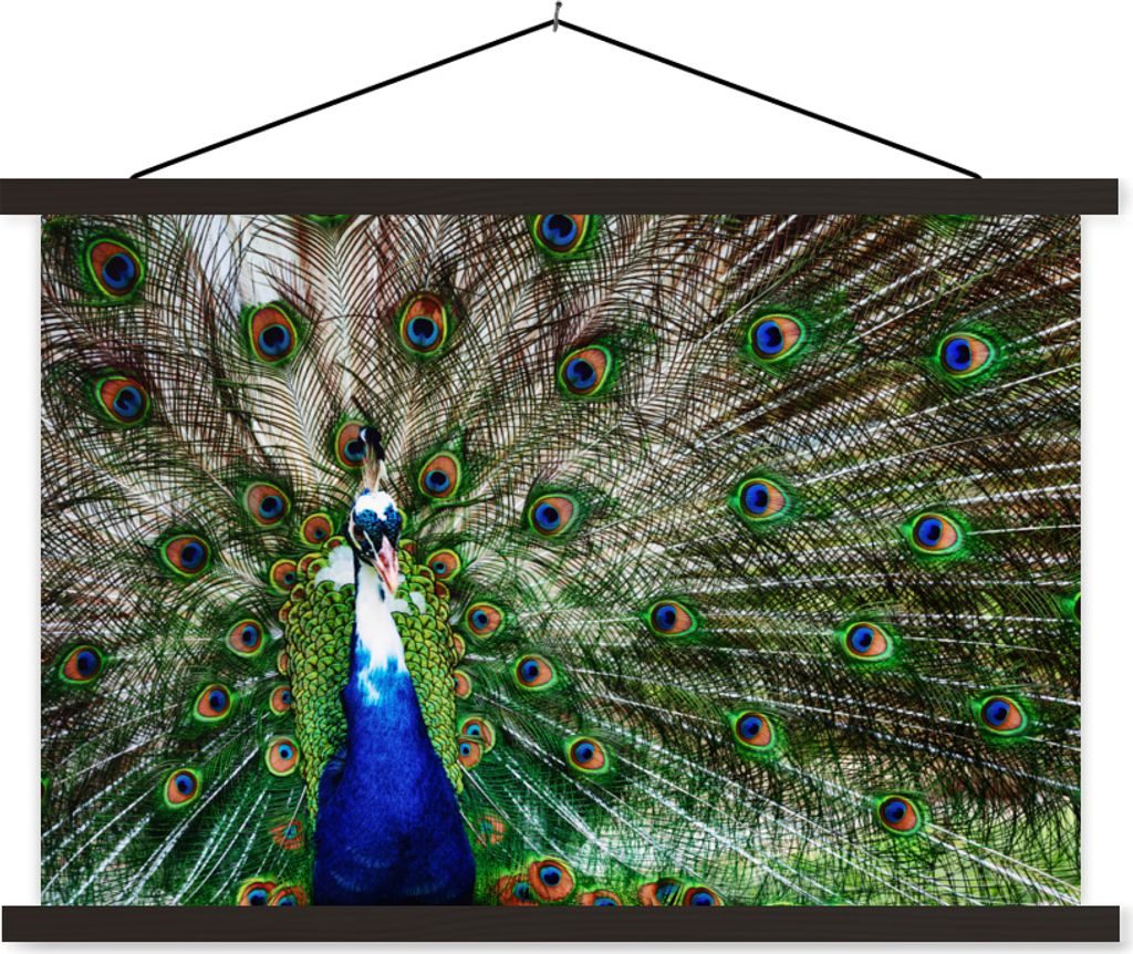 MuchoWow Textilposter Pfau - Federn - Weiß - Blau 150x100 cm mit schwarzem Rahmen - Schlafzimmer