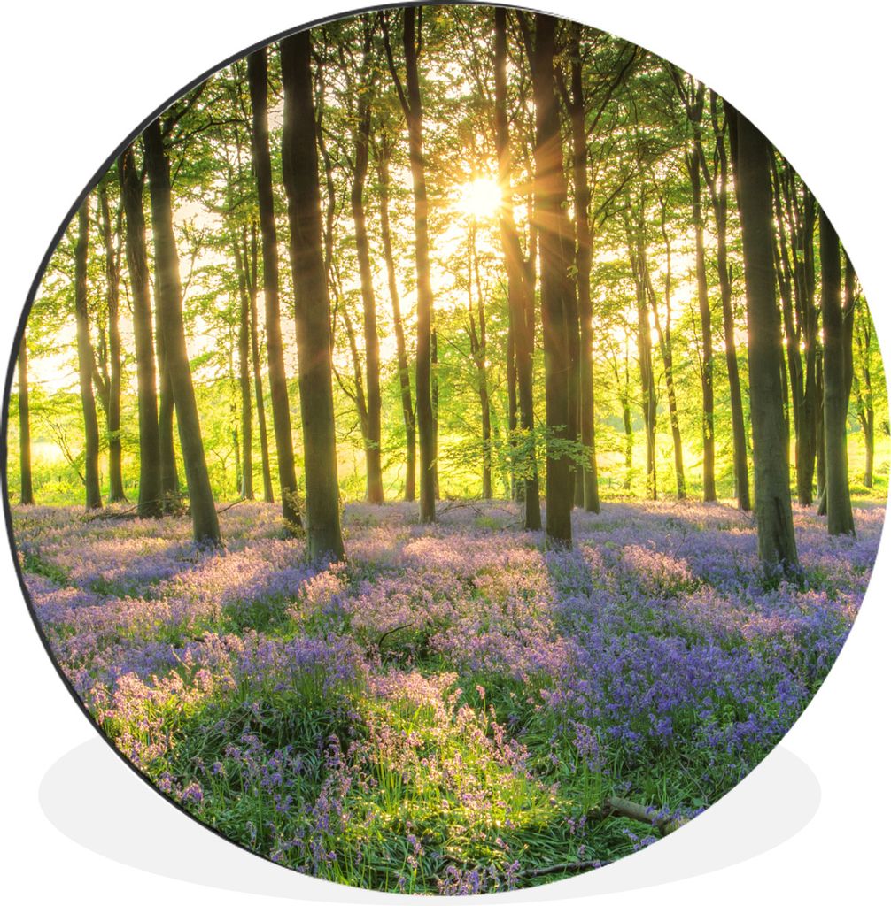 MuchoWow Aluminium Wandkreis Frühling - Wald - Sonne Ø 60 cm Wanddeko Modern Wohnzimmer - Wand Kreis - Wandbild - Schlafzimmer - Aluminium Bild...