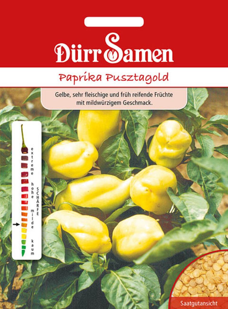 Dürr-Samen - Paprika Pusztagold - Saatgut - 1838 Produktbild 