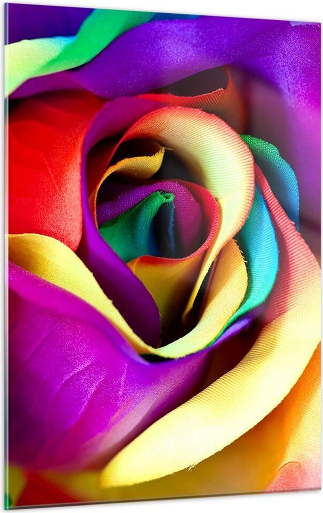 Bilder auf glas - Einteilig - Blume Farbe Rose - 50x70cm - Glasbilder - Wandbilder - Bilder - zum Aufhängen bereit - Wanddekoration aus Glas - Gla...