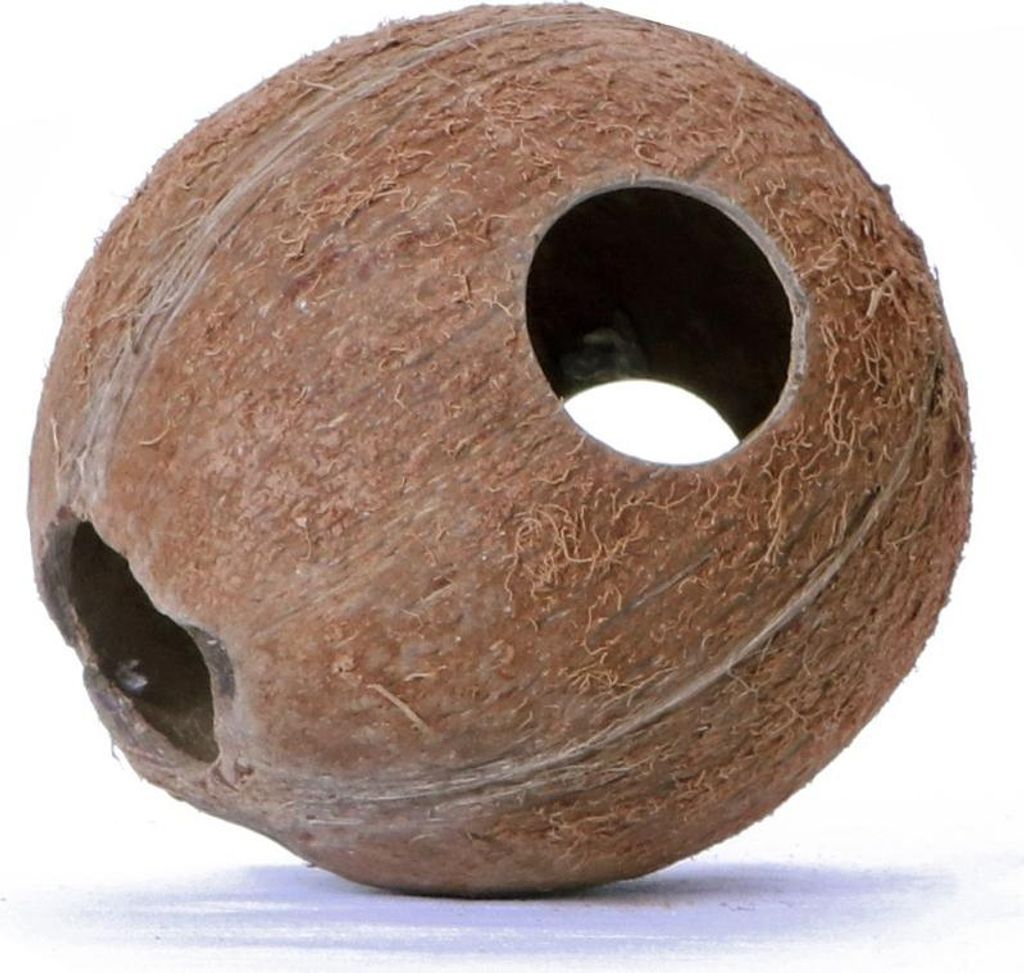Terrario CocoLair - tutto il cocco naturale Terrario Immagine del prodotto 