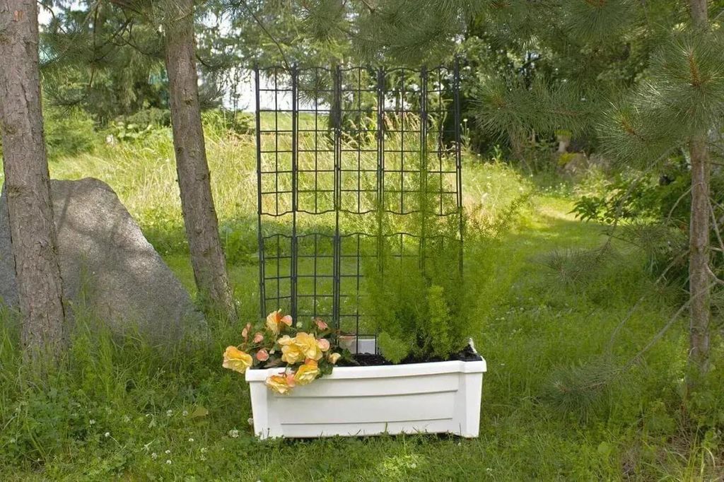 KHW Calypso Pflanzkasten aus hochwertigem Kunststoff auf Rollen mit Bewässerungssystem + modulares Spalier, stabil, wetter-/UV-beständig. Farbe: ...