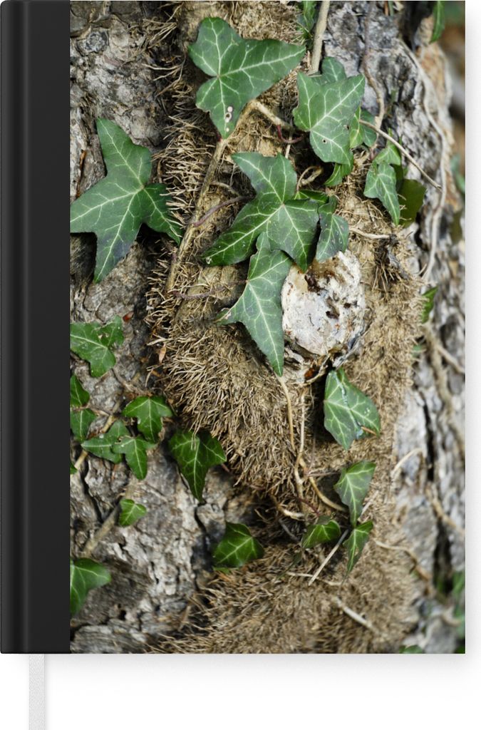MuchoWow Notizbuch Tagebuch Haushaltsbuch Notebook A5 Die grünen Hedera-Blätter an einem Baum - Notizblock - Notizheft - Notebook - Schreibbloc...