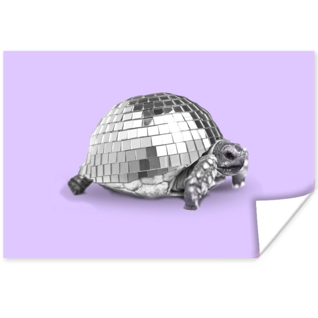 MuchoWow Poster Schildkröte - Discokugel - Disco - Tier - Lila 30x20 cm - Plakate - Print
