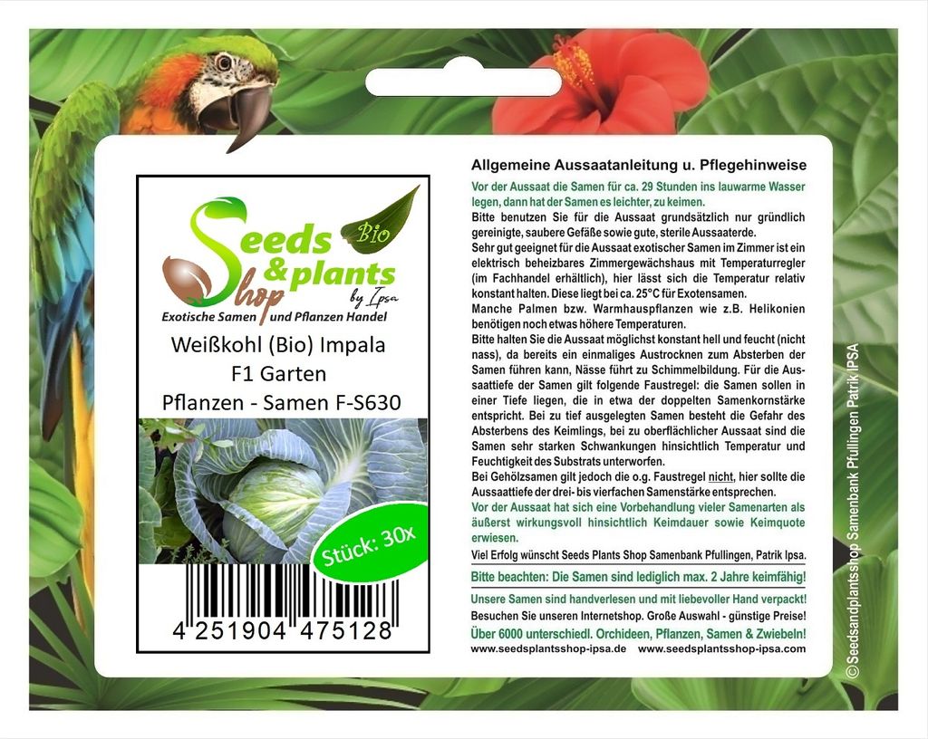30 Korn Weißkohl (Bio) Impala F1 Garten Pflanzen - Samen F-S630