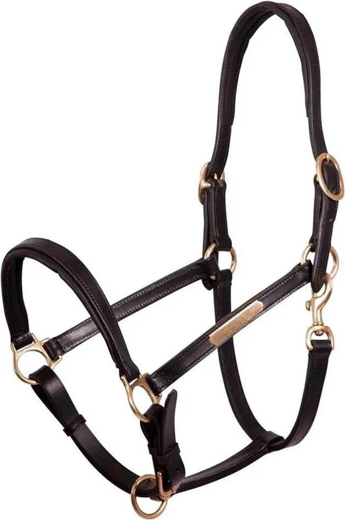 Cavezza Shetland Premiere Line Doppia Regolazione Nero | Shop Online