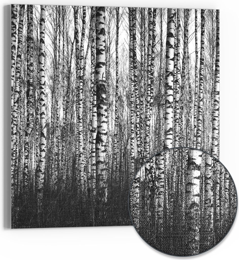 DEQORI Hybrid Leinwand Bild 50x50 cm 'Schönheit des Waldes' Wandbild Glas flach modern