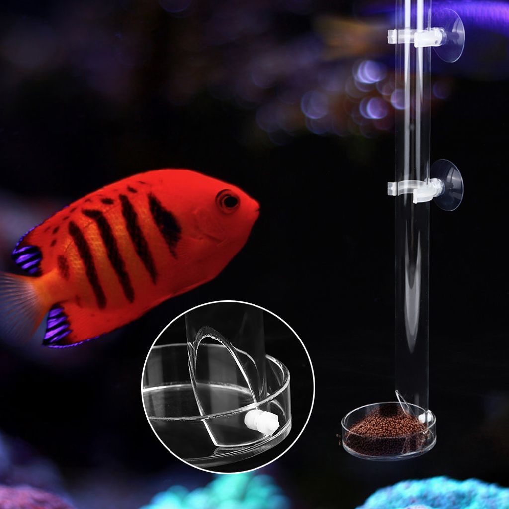 Acrylic Transparent Durable Aquarium Fish Shrimp Feeder Fish Tank Feeding Tube with Tray(20cm)