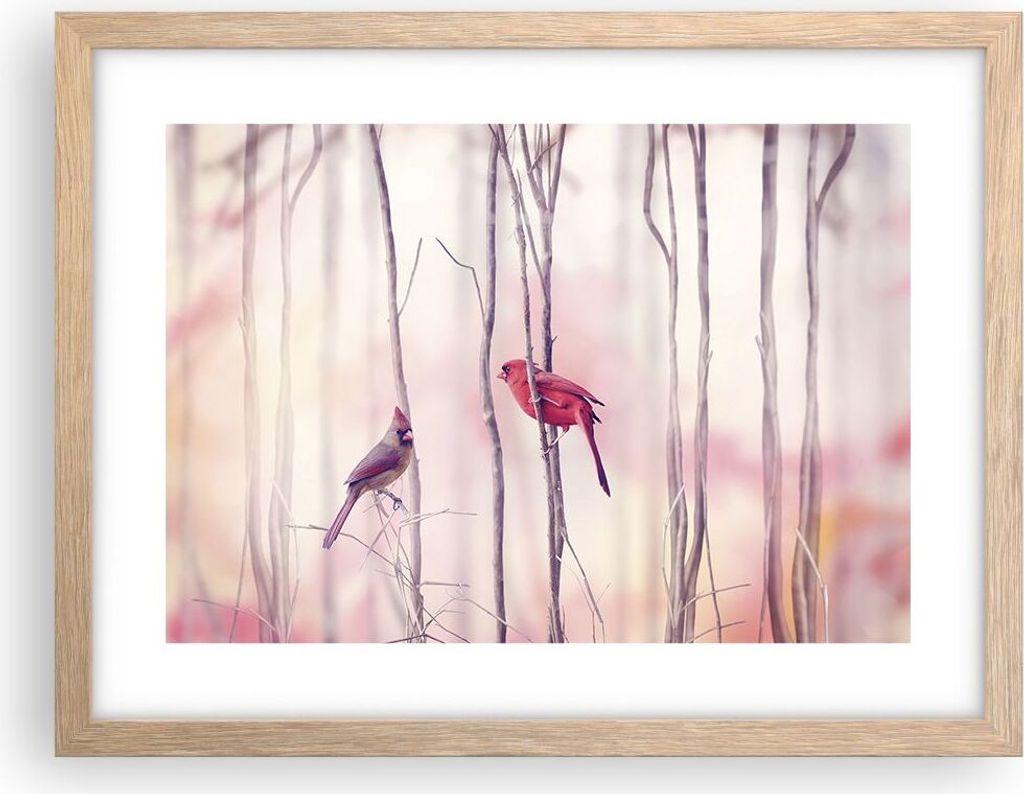 Gerahmtes Poster - Rahmen in heller Eiche - Vögel Kardinal Scharlachrot - 40x30 cm - Wand Bild - Wanddeko - Wandbilder - Wandposter - Bilderrahmen...