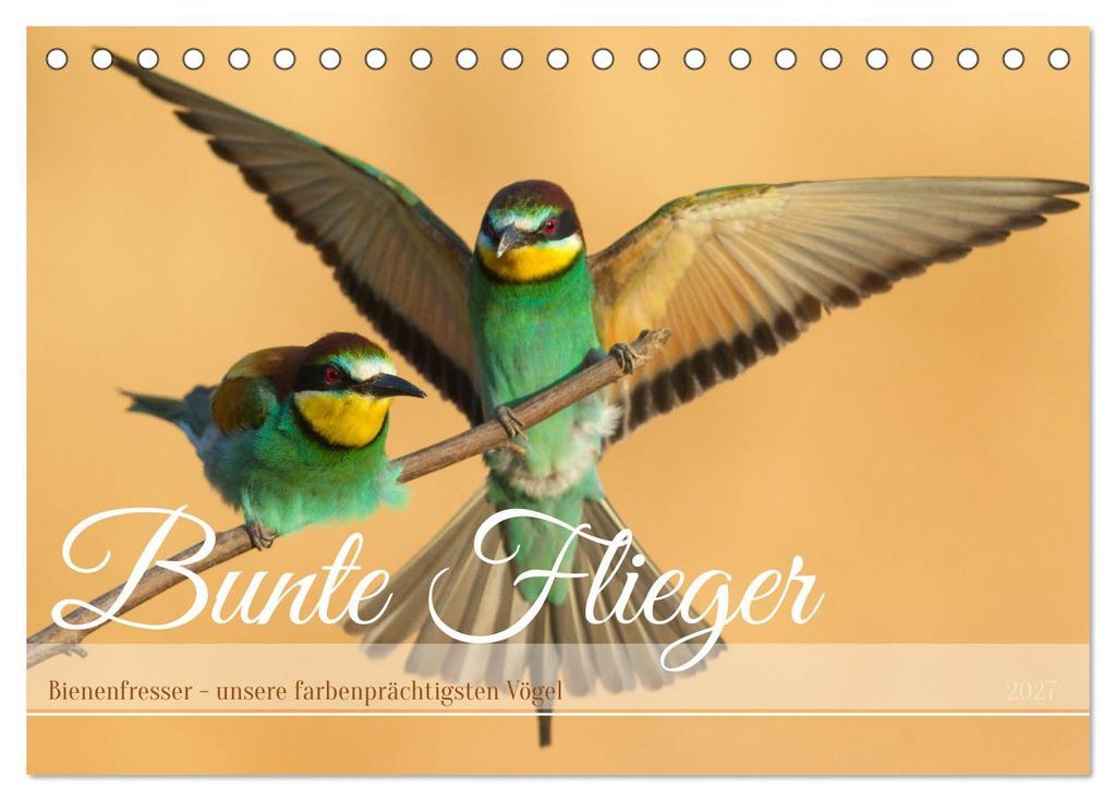 Bunte Flieger (Tischkalender 2027 DIN A5 quer), CALVENDO Monatskalender
