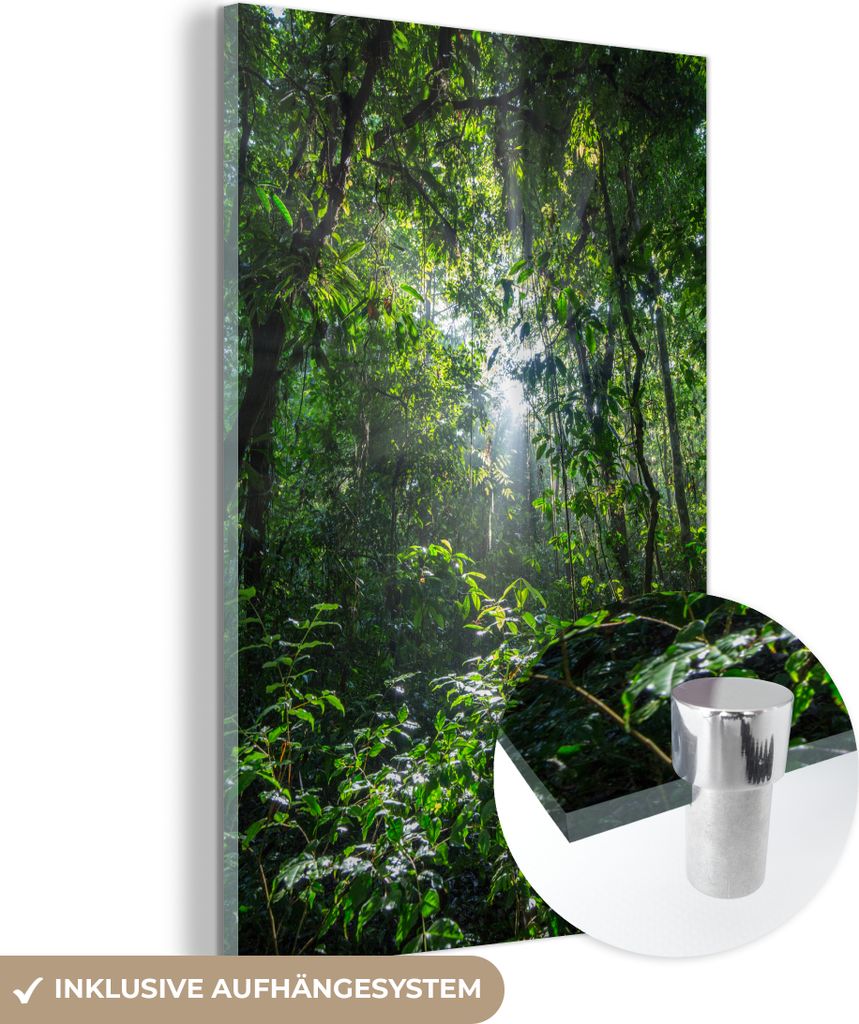 MuchoWow Glasbilder - Bilder auf Wandbild - Foto auf Glas Die Sonne bricht durch die Bäume des Dschungels im Corcovado-Nationalpark 40x60 cm Wandd...