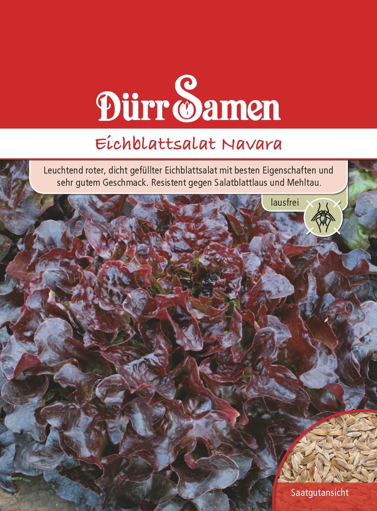 Artikelbild 1 von 'Eichblattsalat Navara' aus der Kategorie Eichblattsalatsamen