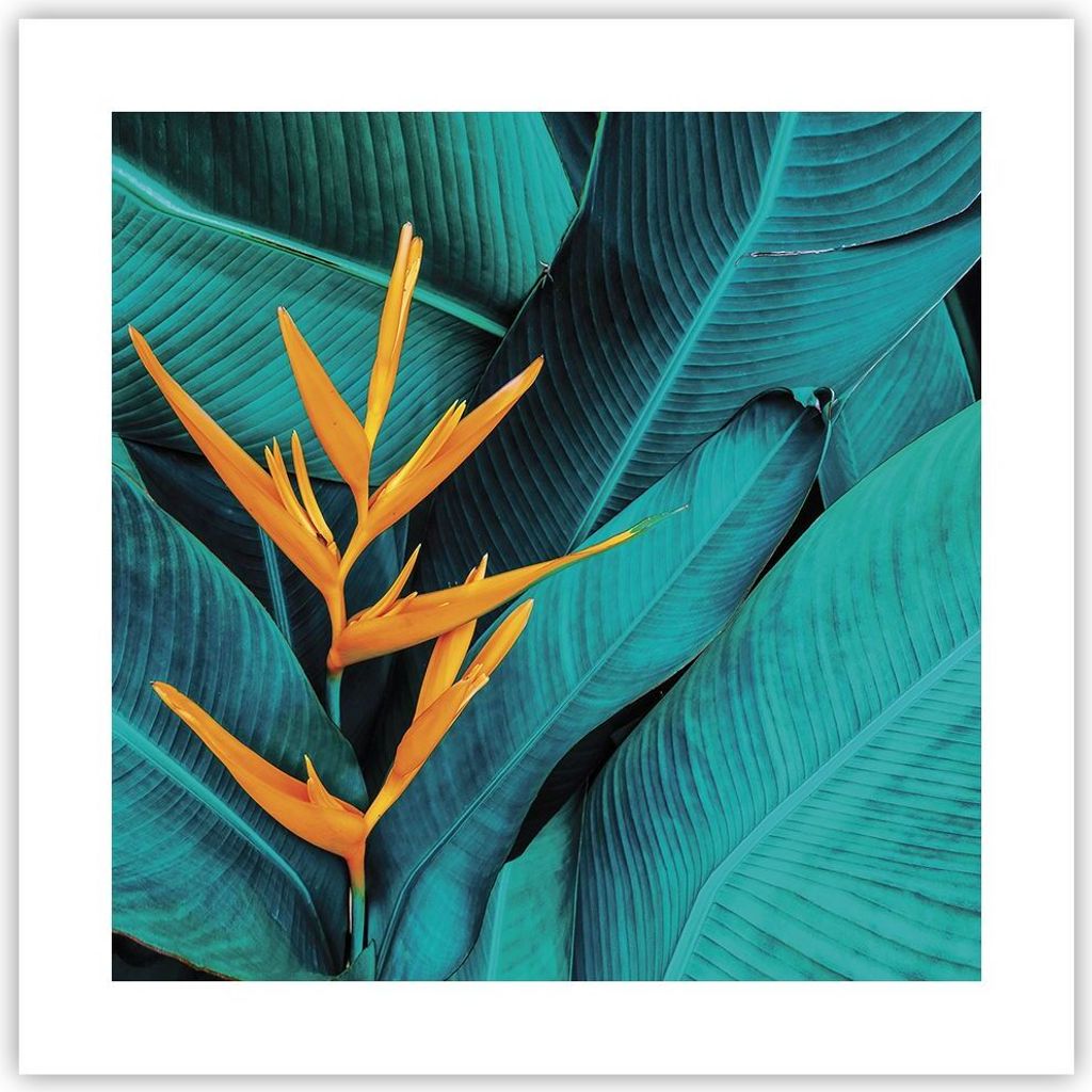 Poster - Poster ohne Rahmen - Blumen Tropen Blätter - 40x40 cm - Wand Bild - Wanddeko - Wandbilder - Kunstposter - Wandposter - Bilder - Kunstdruc...