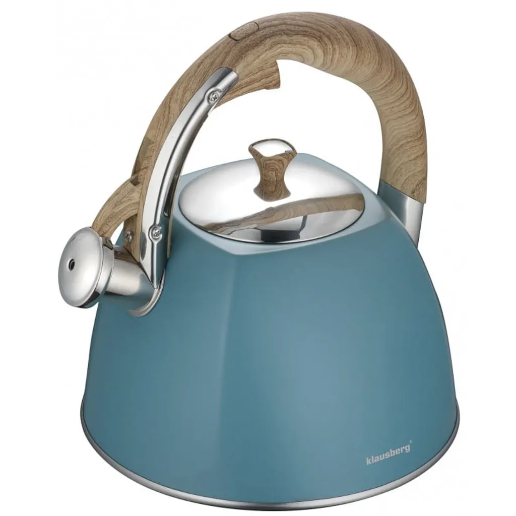 Bouilloire Inox Anti-Calcaire 3L : Finissez-en avec l'eau qui Refroidit