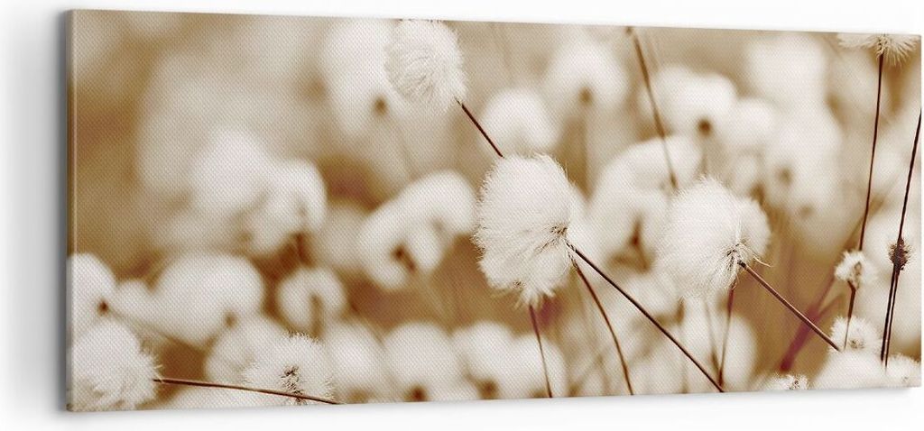 Bild auf Leinwand - Leinwandbild - Einteilig - Baumwolle Boho Wollig - 100x40cm - Wand Bild - Wanddeko - Wandbilder - Leinwanddruck - Bilder - Wand...