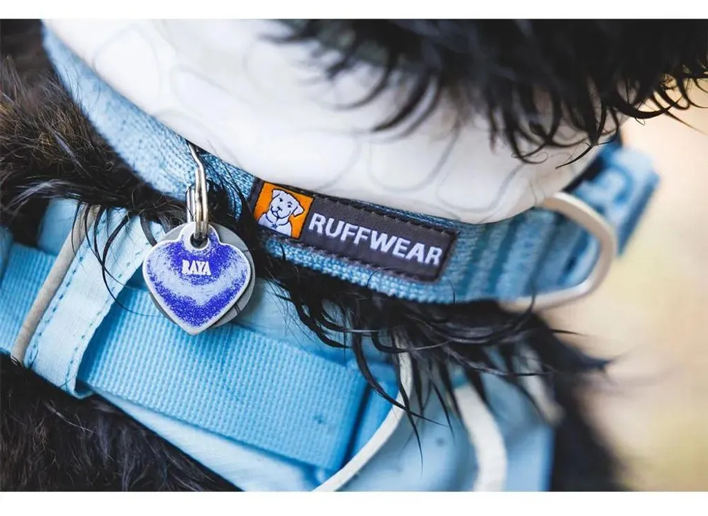 Collier Chien Réglable Ruffwear Front Range Flex Confort Bleu Polaire - 8