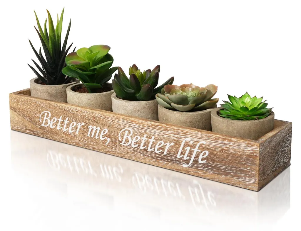 Succulentes Artificielles Effet Réel avec Boîtier Bois Style Rustique