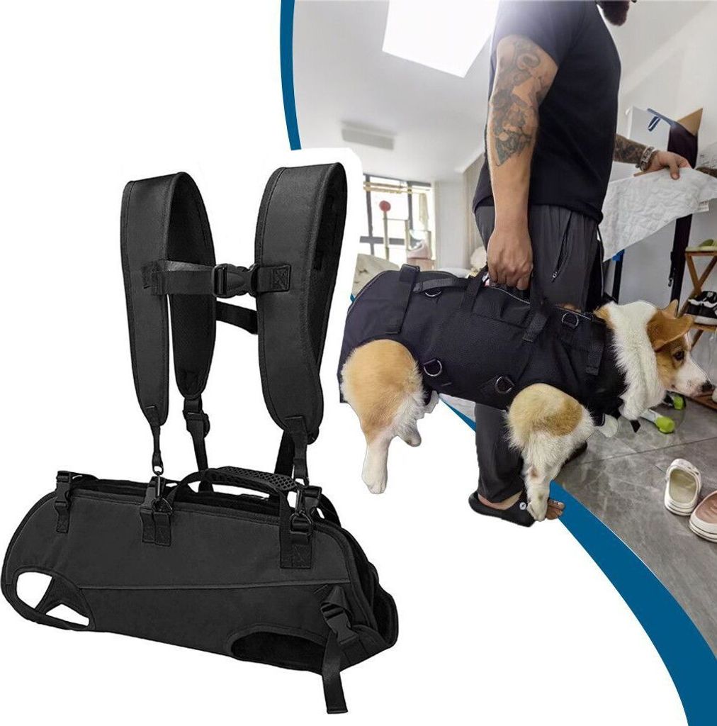 INF Haustier-Tragerucksack für kleine Hunde und Katzen M