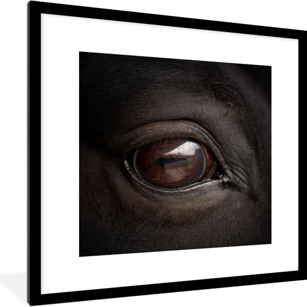 MuchoWow Gerahmtes Poster Nahaufnahme eines Pferdeauges 40x40 cm - Poster mit Schwarzem Bilderrahmen Wandposter Rahmen Foto Bilder - Poster - Pla...
