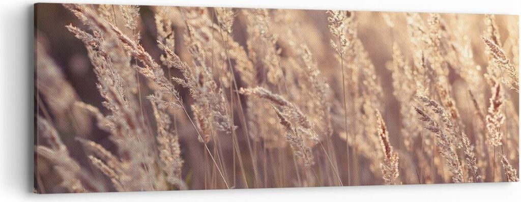 Bild auf Leinwand - Leinwandbild - Einteilig - Boho Ähren Feld - 90x30cm - Wand Bild - Wanddeko - Wandbilder - Leinwanddruck - Bilder - Wanddekora...