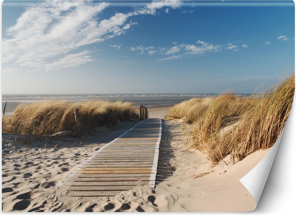 Vlies fototapete Strand Meeresdünen 254x184 cm Feeby Blau inkl. Kleber einfache Montage