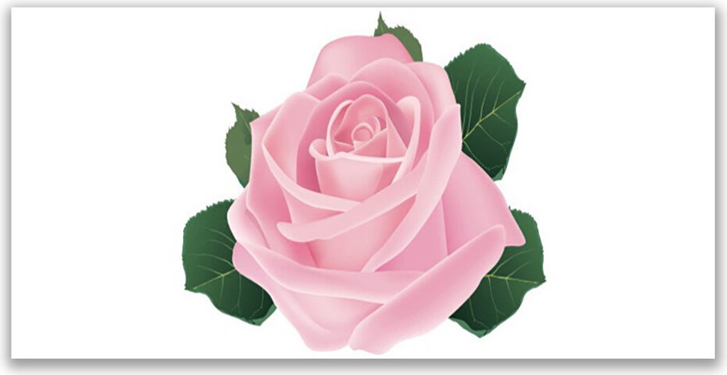 Küchenrückwand aus Glas 120x60cm Spritzschutz Rose Pflanzen