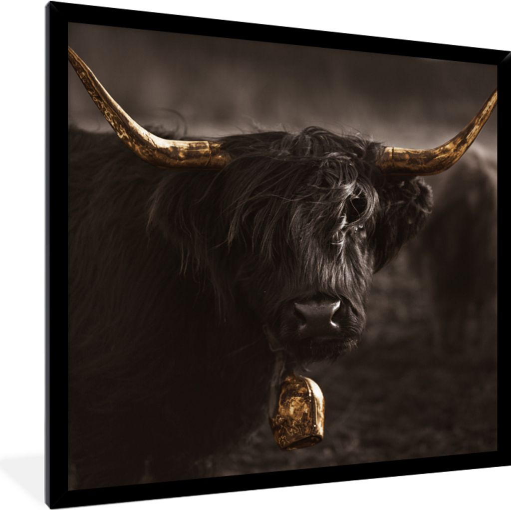 MuchoWow Gerahmtes Poster Schottischer Highlander - Gold - Kuhglocke 40x40 cm - Poster mit Schwarzem Bilderrahmen Wandposter Rahmen Foto Bilder -...