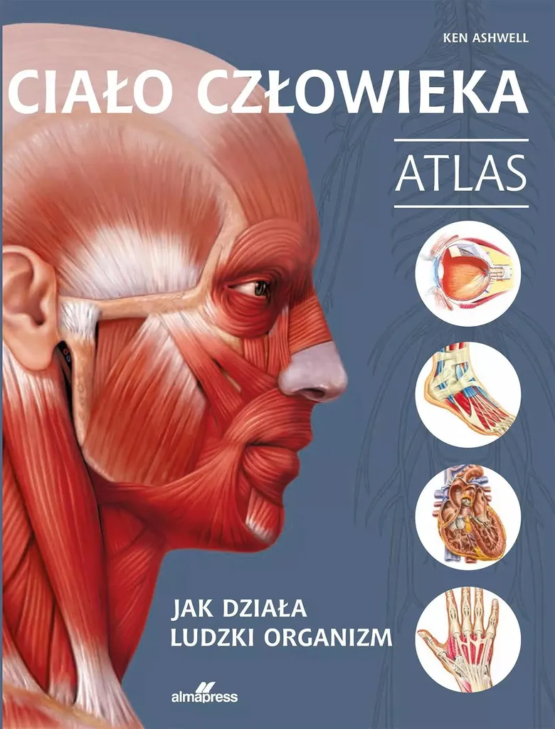 Apprendre l'anatomie avec l'Atlas du corps humain Ken Ashwell Polonais
