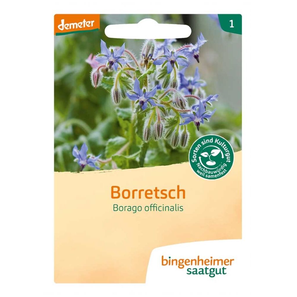 Borretsch - Borago officinalis 6er Pack Produktbild 