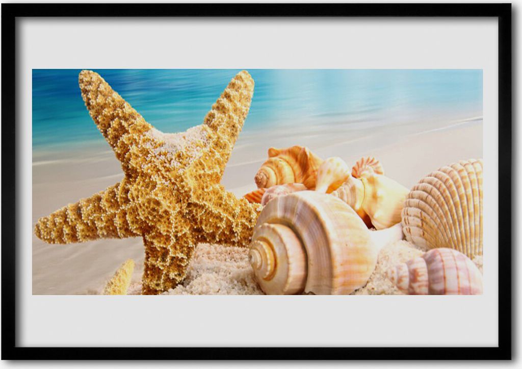 Bild 100x70 MDF-Rahmen Wandkunst Starfish Shell Kunst
