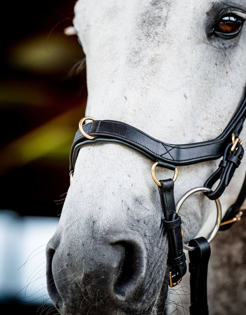Horseware Ireland Snaffle Bridle Micklem 2 Multi Bridle Obrázek produktu 8
