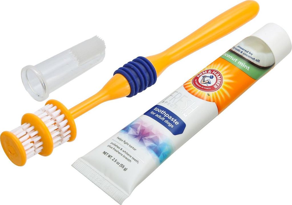 Arm & Hammer 360° Zahnpflegeset für Hunde