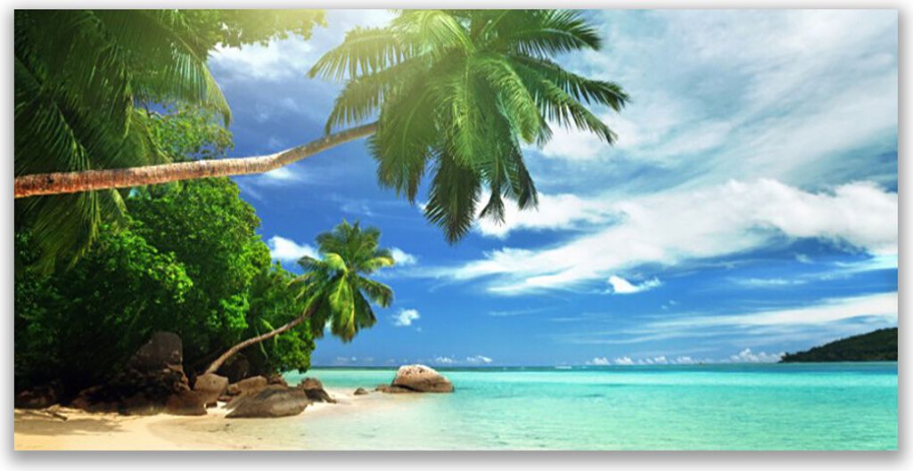 Küchenrückwand aus Glas 140x70cm Spritzschutz Palme Strand Meer Landschaft