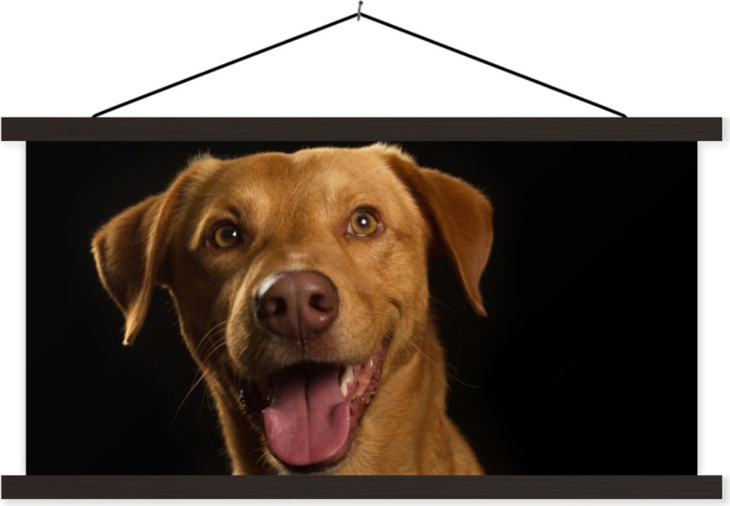 MuchoWow Textilposter Hund - Haustiere - Porträt 60x30 cm mit schwarzem Rahmen - Textilien