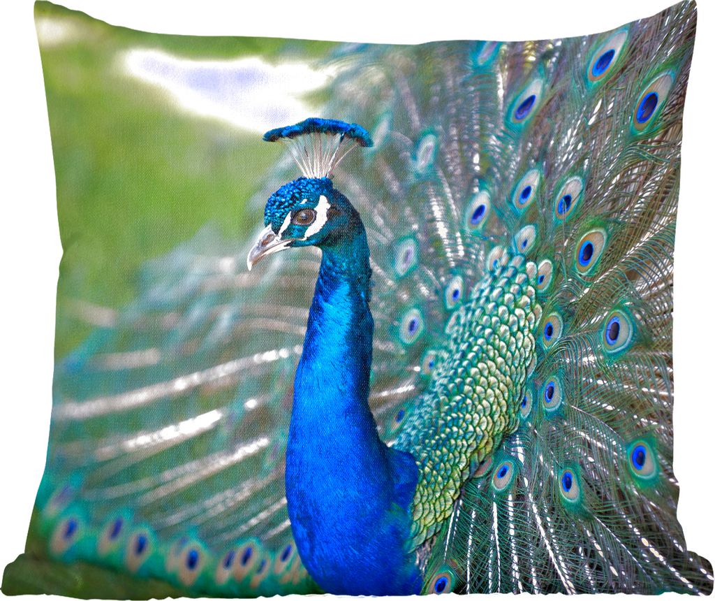MuchoWow Zierkissen Sofakissen Wohnzimmer Dekokissen 50x50 cm Pfau - Vögel - Blau - Komfort - Sofakissen