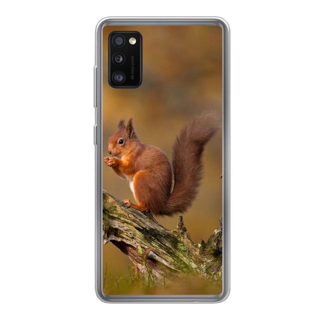 MuchoWow Handyhülle Schutzhülle Hülle für Samsung Galaxy A41 Eichhörnchen - Baumstamm - Wald Silikon Softcase Handy Hülle - Mobiltelefon