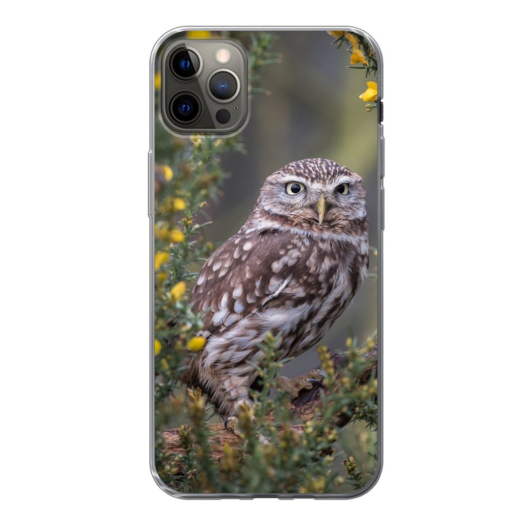 MuchoWow Handyhülle Schutzhülle Hülle für iPhone 13 Pro Max Eine kleine braune Eule sitzt da und starrt nach vorne Silikon Softcase Handy Hü...