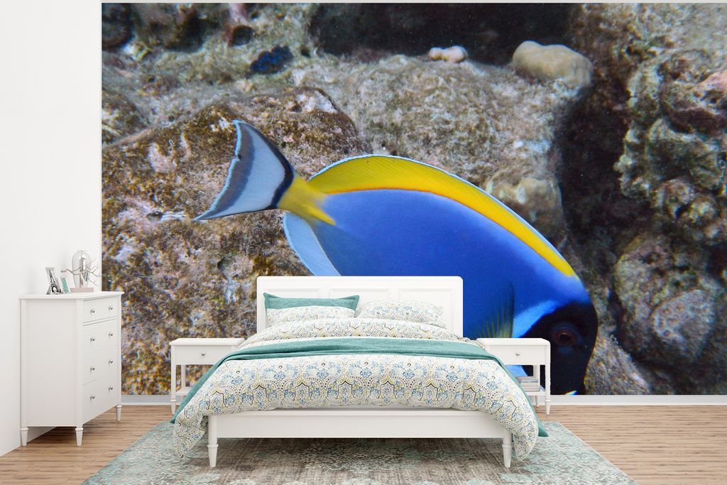 MuchoWow Fototapete für Wohnzimmer oder Schlafzimmer Wandtapete Vinyl Motivtapete Fisch - Fels - Wasser - 320x240 cm - Tapeten