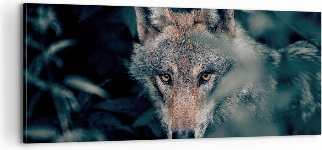 Bild auf Leinwand - Leinwandbild - Einteilig - Wolf Wald Raubtier - 100x40cm - Wand Bild - Wanddeko - Wandbilder - Leinwanddruck - Bilder - Wanddek...