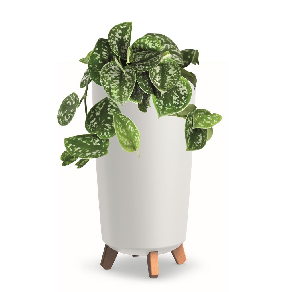 Blumentopf mit Füßen Hoh Tube Pflanzkübe D 20 cm aus Kunststoff matte Weiß Übertöpfe Geldbaum Kakteen Gummibaum Glücksfeder