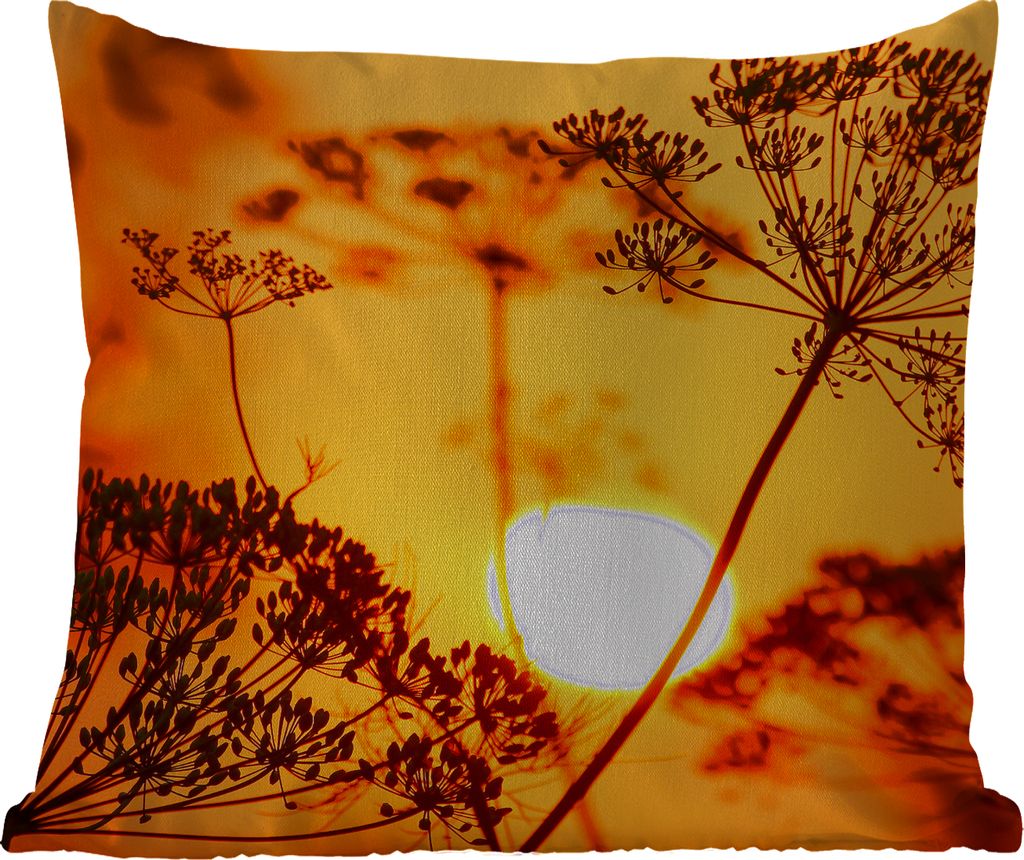 MuchoWow Outdoor Kissen - Pflanzen - Blumen - Sonnenuntergang - Orange - 50x50 cm - Wetterfest - Lounge Kissen - Komfortabel - Kissen mit Bild