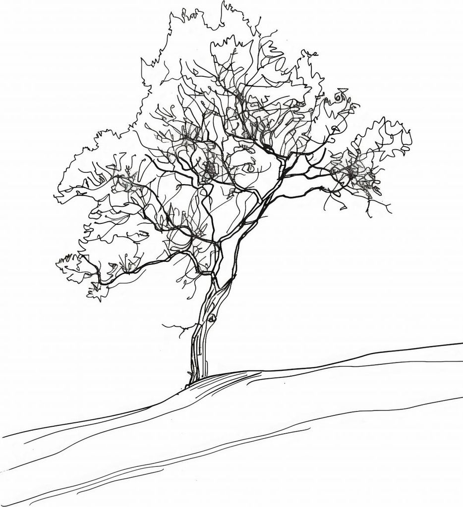 Plakat 29,7x42cm Baum im Umriss
