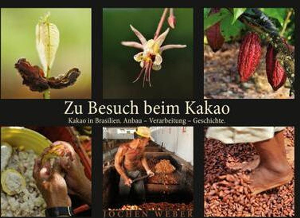 Zu Besuch beim Kakao