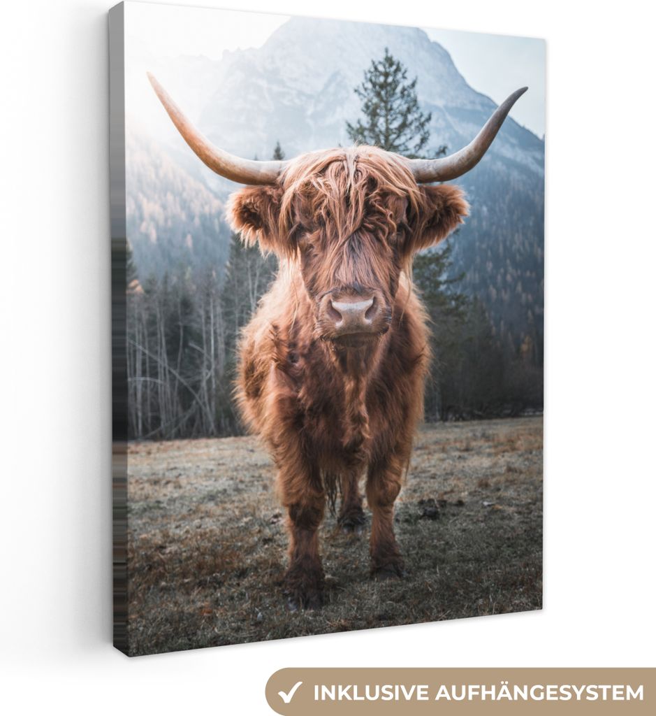 Wanddeko 60x80 cm - Schottisches Hochlandrind - Kuh - Tiere - Berg - Natur, Deko Wohnzimmer, Leinwand Bilder