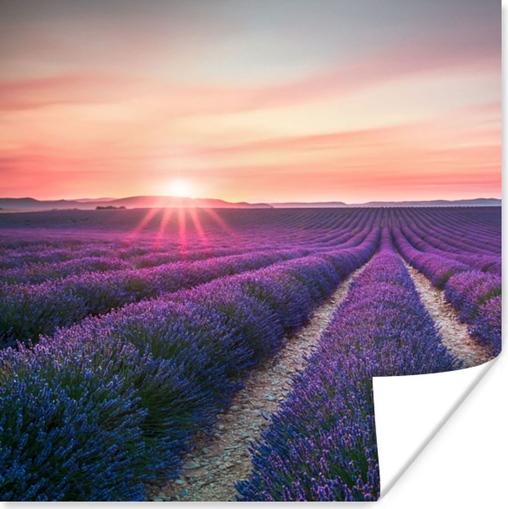 MuchoWow Poster Lavendel - Lila - Blumen - Himmel 100x100 cm - Babyzimmer