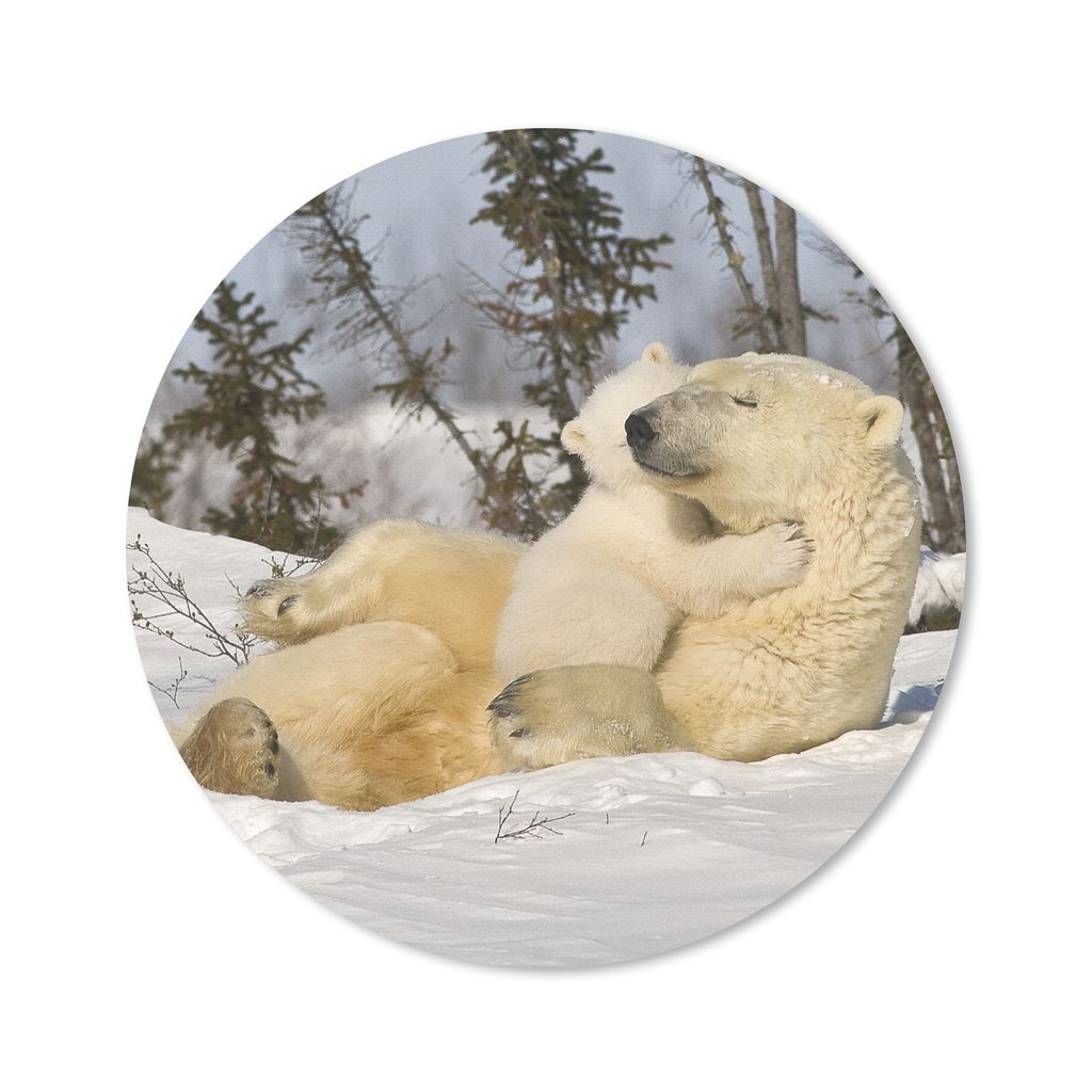 MuchoWow Mauspad Mousepad Eisbär - Schnee - Höhle - Jungtier 50x50 cm - Mousepads - Maus Mat - Pad - Mausunterlage - Vinyl