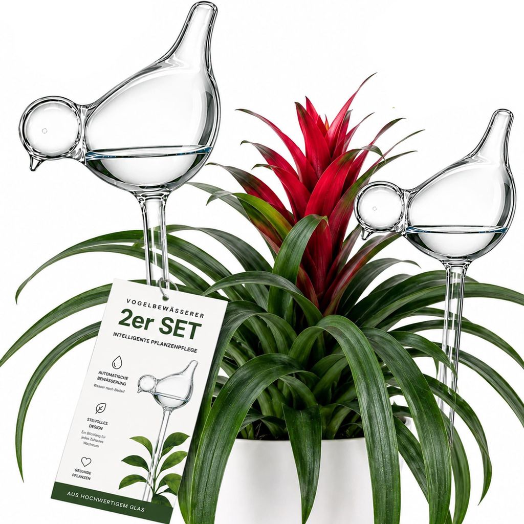 Bewässerungskugeln 2er Set Vögel Glas Gießkugeln Produktbild 