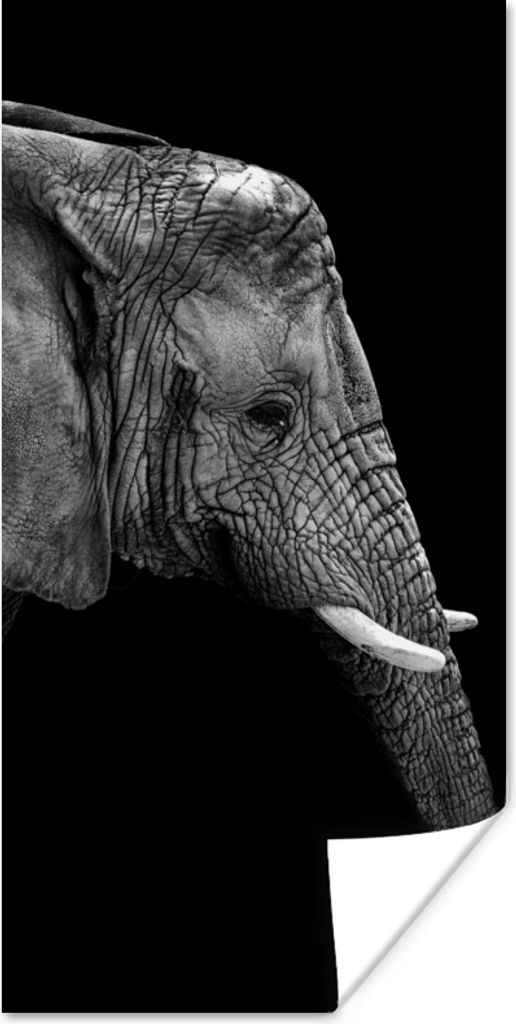 MuchoWow Poster Elefant - Schwarz und weiß - Porträt - Tiere 20x40 cm - Plakat - Foto
